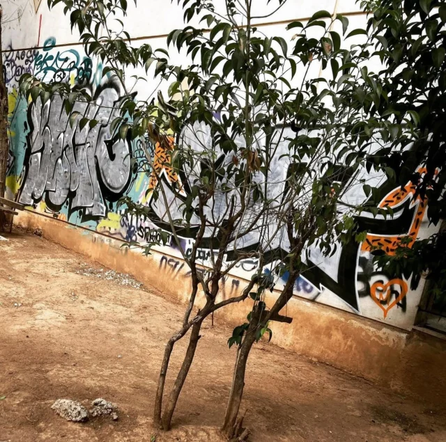 Instagram post 18073264085007179